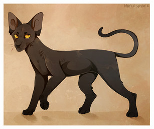 ambiguous_gender feral orange_eyes paws simple_background solo standing tail yellow_sclera maplespyder warriors_(book_series) eclipse_(maplespyder) fan_character domestic_cat felid feline felis mammal 2015 cel_shading digital_media_(artwork) digital_painting_(artwork) painting_(artwork) shaded