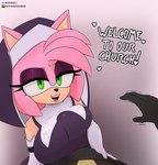 5_fingers anthro big_breasts black_nose breasts clothing dialogue duo faceless_character faceless_male female fingers green_eyes humor looking_at_viewer male nun talking_to_viewer text berkthejerk sega sonic_the_hedgehog_(series) amy_rose eulipotyphlan hedgehog mammal 2021 english_text hi_res lol_comments meme