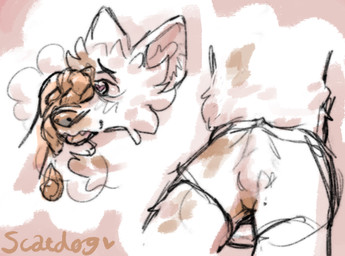 aroused bulge bulge_through_clothing bulge_under_clothes clothed clothing erection erection_under_clothing feces feces_on_body feces_on_face feces_on_snout fur heart-shaped_pupils heart_eyes heart_symbol male masturbation snout tongue tongue_out underwear underwear_only white_body white_fur scatdog canid canine mammal shaded