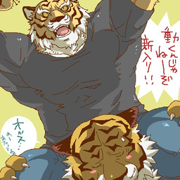 anthro barazoku blush carrying_another duo kemono male muscular on_shoulders on_top on_top_of simple_background text redjack_036 felid mammal pantherine tiger 1:1 digital_media_(artwork) japanese_text low_res oekaki source_request