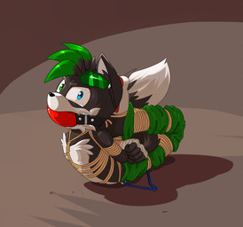 anthro ball_gag barefoot bdsm bodily_fluids bondage bottomwear bound captured clothing feet fully_bound fur gag hands_behind_back heterochromia looking_at_viewer lying male on_front paws plantigrade restrained restraints rope saliva soles solo submissive submissive_male whistleristler sega sonic_the_hedgehog_(series) fan_character shadz_(shadz-the-fox) canid canine fox mammal 2018