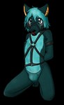 anthro arms_tied arms_tied_behind_back ball_gag black_nose blue_body blue_clothing blue_eyes blue_fur blue_hair blue_thong blue_underwear blush bound clothed clothing fur gag hair hands_behind_back harness inner_ear_fluff kneeling male male_anthro muzzle_(object) muzzled orange_inner_ear_fluff pink_blush simple_background snout solo thong transparent_background tuft underwear underwear_only sebdoggo canid canine mammal 2012 adobe_photoshop_(artwork) alpha_channel digital_drawing_(artwork) digital_media_(artwork) full-length_portrait low_res portrait shaded soft_shading