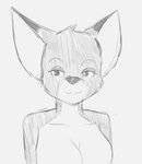 anthro eyebrows female fur multicolored_body multicolored_fur raised_eyebrows smile smug_face solo qunteki three_lesbians_in_a_barrow tabithia_knight canid canine fox mammal bust_portrait monochrome portrait sketch trans_(lore) trans_woman_(lore)