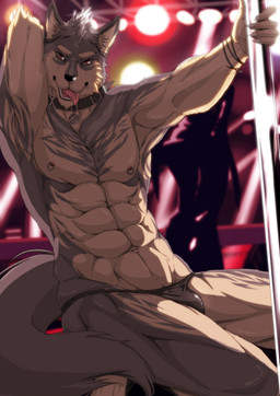 abs anthro athletic biceps big_muscles brown_eyes bulge clothed clothing collar dancing flexing fur grey_body grey_fur hand_behind_head holding_fixture looking_at_viewer male muscular muscular_anthro muscular_male navel nipple_piercing nipples pecs piercing pole pole_dancing pose solo suggestive thong tongue tongue_out topless underwear shircheat canid canine canis mammal wolf