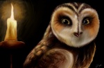 candle darkness female feral solo gabriellegrotte guardians_of_ga'hoole otulissa avian bird eared_owl owl short-eared_owl true_owl hi_res