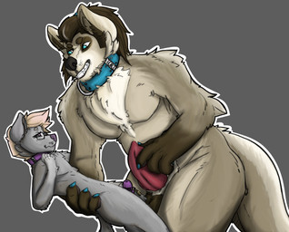 4_fingers animal_genitalia anthro anthro_on_anthro balls bdsm blue_eyes canine_genitalia chastity_cage chastity_device chest_tuft claws collar dominant dominant_male duo erection eyewear fingers fluffy_fur genitals glasses hair imminent_sex larger_male lock male male/male muscular muscular_male nude outline over_sheath_chastity_cage padlock penis petplay roleplay sheath_chastity_cage simple_background size_difference size_play smaller_male submissive submissive_male tail toe_claws tuft white_outline misselly canid canine mammal digital_media_(artwork) hi_res