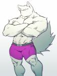 =_= =w= abs anthro biceps clothing crossed_arms emoticon emoticon_on_clothing emoticon_on_underwear fur male muscular muscular_anthro muscular_male owo pecs print_clothing print_underwear solo standing straight_legs underwear dona908 canid canine mammal 2019 absurd_res hi_res