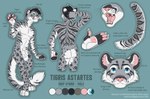 animal_genitalia anthro athletic balls big_tail blue_eyes butt color_swatch genitals male markings piercing sheath solo spots spotted_markings striped_markings stripes tail tattoo text sudan_red tigris_astartes felid feline hybrid mammal pantherine siberian_tiger snow_leopard tiger absurd_res character_name english_text hi_res model_sheet