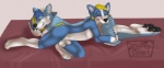 4_toes animal_genitalia anthro balls bedroom blue_husky bone claws cuddling digitigrade duo feet flaccid fully_sheathed genitals gloves_(marking) hindpaw hug inside leg_markings male male/male markings nom nude pawpads paws penis sheath socks_(marking) soles tail toes taintedstar gao_husky wachhund_(character) canid canine canis domestic_dog husky mammal nordic_sled_dog spitz digital_media_(artwork)