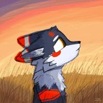 anthro cheek_tuft ears_back facial_tuft field fur grey_body grey_fur looking_at_viewer male neck_tuft orange_body orange_fur pivoted_ears pupils side_profile side_view solo standing summer sunset thinking tuft white_body white_cheeks white_fur white_pupils turix canid canine canis fox mammal wolf hi_res warm_colors