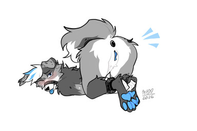 andromorph anthro arms_tied ass_up bdsm blue_body blue_eyes bound fur genitals grey_body grey_fur hands_tied intersex legs_tied pawpads paws plug_(sex_toy) rope sex_toy solo tongue tongue_out vulva white_body white_fur hatipeach_(character) border_collie canid canine canis collie domestic_dog herding_dog mammal pastoral_dog sheepdog 3:2 hi_res