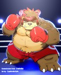 anthro belly big_belly bodily_fluids bottomwear boxing_gloves brown_body clothing fighting_ring handwear kemono male moobs navel one_eye_closed overweight overweight_male shorts solo sweat text gokrakstyle sengoku_puzzle saigou_shirou bear mammal 2022 absurd_res english_text hi_res