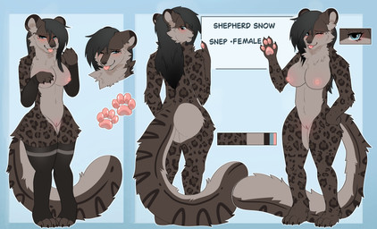 anthro arm_warmers armwear blue_eyes clothing female fur hair legwear long_hair markings multicolored_body pawpads solo spots spotted_body spotted_fur thigh_highs two_tone_body locknvt shepherdsnow felid mammal pantherine snow_leopard absurd_res hi_res model_sheet