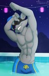 abs anthro athletic athletic_male blue_clothing blue_hat blue_headwear clothed clothing dancing eyes_closed fur grey_body grey_fur hat headgear headwear male navel night partially_submerged pecs raised_arms smile solo standing_in_water star swimming_pool swimming_trunks swimwear topless topless_male water sandblastcoyote sly_cooper_(series) sony_corporation sony_interactive_entertainment sucker_punch_productions sly_cooper mammal procyonid raccoon 2025