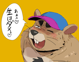 anthro biped black_nose blush bodily_fluids brown_body brown_fur clothing dialogue fur hat headgear headwear heart_symbol kemono male one_eye_closed open_mouth simple_background solo sweat text whiskers yellow_background korita_to vtuber mammal rodent 2026 absurd_res hi_res japanese_text