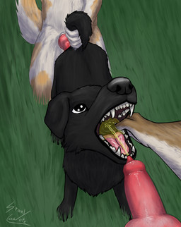 anatomically_correct anatomically_correct_genitalia anatomically_correct_penis animal_genitalia animal_penis anthro anthro_on_feral begging bestiality bodily_fluids canine_genitalia canine_penis drinking drinking_urine erection fellatio_gesture feral feral_penetrated genital_fluids genitals gesture grass group imminent_oral knot knotted_penis knotting male male/male mouth_hold mouth_shot open_mouth peeing peeing_in_mouth penetration penis plant sex suggestive suggestive_gesture tail tail_grab teeth tongue trio urine urine_in_mouth urine_stream watersports stinkycoyote borzoi canid canine canis coyote domestic_dog hunting_dog mammal sighthound absurd_res hi_res