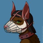 anthro bdsm black_hair blue_background bondage bound brown_body brown_fur cage_muzzle collar fake_dog_ears fur green_eyes hair lock looking_at_viewer male muzzle_(object) muzzled petplay pink_nose roleplay simple_background solo straps text white_body white_fur wire_basket_muzzle mitokep domestic_ferret mammal mustelid musteline true_musteline weasel 1:1 2022 absurd_res digital_media_(artwork) hi_res url