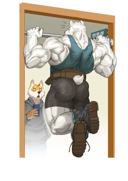 anthro back_muscles barazoku belt biceps big_muscles black_boots black_bottomwear black_clothing black_footwear black_nose black_pawpads black_shorts blood blue_bottomwear blue_clothing blue_pants bodily_fluids boots bottomwear brown_belt butt claws clothing deltoids doctor's_office duo electronics exercise finger_claws footwear forearm_muscles fur grey_clothing grey_hoodie grey_topwear hair holding_object holding_phone hoodie male multicolored_body multicolored_fur muscular muscular_anthro muscular_male nosebleed orange_body orange_fur pants pawpads phone pull-up_(exercise) pull_up_bar shirt shocked shoelaces shoelaces_untied shoes shorts small_tail socks tail tank_top teal_clothing teal_footwear teal_shirt teal_socks teal_tank_top teal_topwear text topwear triceps two_tone_body two_tone_fur weightlifting_belt white_body white_fur white_hair traver009 bear canid canine canis domestic_dog mammal polar_bear shiba_inu spitz ursine 2025 absurd_res hi_res korean_text