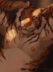 anthro biceps black_body black_fur clothed clothing deltoids eyes_closed fur hands_behind_head male multicolored_body muscular nipples orange_body orange_fur pecs raised_arms simple_eyes solo stripes topless two_tone_body whiskers jamzenn felid mammal pantherine tiger 2024 hi_res shaded