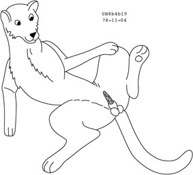 animal_genitalia animal_penis balls breasts erection feline_genitalia feline_penis feral fur genitals long_tail looking_at_genitalia looking_at_own_penis looking_at_penis looking_at_self lying male nude on_back paws penis sheath simple_background smile solo spread_legs spreading tail white_background urbanhermit felid mammal pantherine tiger 1978 20th_century ancient_art black_and_white dated low_res monochrome