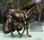 1998 animal_genitalia balls big_balls big_penis big_sheath doug_winger english_text equid equine feral fully_sheathed fur genitals hooves horse huge_balls huge_penis huge_sheath hyper hyper_balls hyper_genitalia hyper_sheath male mammal outside penis photo_background photography_(artwork) sheath solo standing text