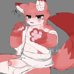 anthro balls blush genitals grey_background humanoid_genitalia humanoid_penis kemono male pawpads penis simple_background sitting solo bread_black0 1:1 hi_res