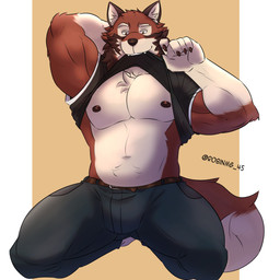 anthro belt biped black_nose brown_belt clothed clothed_anthro clothed_male clothing clothing_lift fur male muscular muscular_anthro muscular_male navel nipples red_body red_fur shirt shirt_lift solo topwear robinmg_45 echo_(game) echo_(series) echo_project leo_alvarez canid canine canis mammal red_wolf wolf 1:1 2022 absurd_res colored hi_res signature