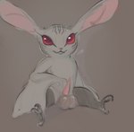 anthro balls big_balls big_ears big_eyes genitals male penis solo truemew atlus metaphor:_refantazio sega heismay_noctule eugief absurd_res hi_res