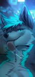 against_surface anthro black_nose blue_eyes blue_hair fur grey_body grey_fur hair licking male on_glass solo tongue tongue_out angiewolf kipwolf canid canine canis mammal wolf cool_colors digital_media_(artwork) headshot_portrait portrait teal_theme