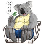 anthro belly black_nose bodily_fluids bottomwear clothing ellipsis humanoid_hands kemono male scar shorts simple_background sitting slightly_chubby solo sweat text white_background raichoclub koala mammal marsupial vombatiform 1:1 2015 japanese_text translation_request