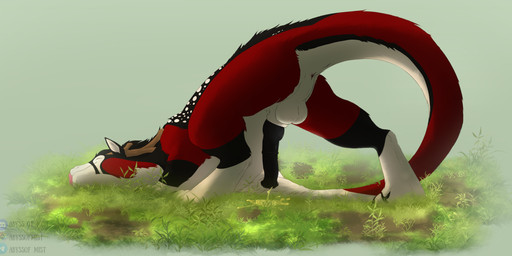 animal_genitalia anthro antlers anus ass_up balls black_body black_fur blep bodily_fluids dewclaw felkin_penis feral fur genital_fluids genitals grass horn male outside peeing peeing_on_ground peeing_outside penis plant red_body red_fur rubbing_head sheath solo tail tongue tongue_out urine urine_on_ground urine_puddle urine_stream watersports white_body white_fur abyss_of_mist sanguine_(sanguinederg) felkin 2026 digital_drawing_(artwork) digital_media_(artwork) hi_res