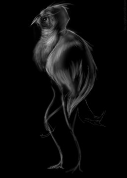 ambiguous_gender anthro beak biped eyelashes feathered_wings feathers semi-anthro solo standing tail tail_feathers text winged_arms wings louceph avian bird 2018 digital_media_(artwork) digital_painting_(artwork) english_description greyscale guide_lines hi_res monochrome painting_(artwork) unfinished url