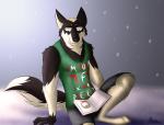 anthro biped book holidays male reading sitting smile snow solo tall gangstaguru christmas jaron canid canine canis domestic_dog german_shepherd herding_dog husky hybrid mammal nordic_sled_dog pastoral_dog spitz