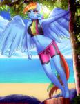 2018 absurd_res anthro anthrofied barefoot beach big_breasts biped bottomwear breasts clothed clothing detailed_background digital_media_(artwork) equid equine eyelashes feathered_wings feathers feet female friendship_is_magic hair hasbro hi_res humanoid_feet mammal midriff multicolored_hair multicolored_tail my_little_pony mythological_creature mythological_equine mythology navel outside pegasus plant plantigrade rainbow_dash_(mlp) rainbow_hair rainbow_tail sand seaside shorts sky smile solo swimwear tail text tight_clothing tree twistedscarlett60 underwear water wings