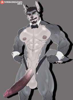 abs anthro areola balls beard big_penis black_hair blue_eyes circumcised circumcision_scar erection eyebrows facial_hair fur genital_scar genitals glans hair heterochromia huge_penis humanoid_genitalia humanoid_penis inner_ear_fluff male muscular muscular_anthro muscular_male mustache navel nipples pecs penis scar solo tail tuft vein veiny_penis castbound rico_(castbound) canid canine canis hybrid mammal wolfdog hi_res