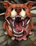 ambiguous_gender bodily_fluids brown_eyes brown_nose fangs feral fur glistening glistening_eyes looking_at_viewer mouth_shot open_mouth orange_body orange_fur red_tongue saliva saliva_string sharp_teeth solo teeth text tongue tongue_out white_body white_fur roobin canid canine canis domestic_dog mammal pit_bull artist_name hi_res