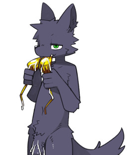 anthro bikini bikini_top biped bodily_fluids cheek_tuft clothing clothing_in_mouth crotch_tuft cum cum_on_own_penis cum_on_penis cum_on_self dog_tail facial_tuft front_view fur fur_tuft genital_fluids genitals gold_bikini green_eyes grey_body grey_fur head_tuft looking_at_viewer male male_anthro navel nude nude_anthro nude_male penis simple_background slim slim_anthro slim_male solo swimwear tuft two-piece_swimsuit white_background pizademokttero nifram_logan canid canine canis mammal wolf 2026 cel_shading digital_drawing_(artwork) digital_media_(artwork) hi_res shaded