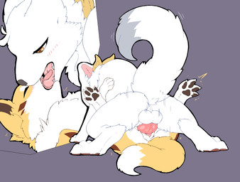 animal_genitalia animal_penis anus backsack balls blush bodily_fluids canine_genitalia canine_penis claws countershading dipstick_tail duo eyes_closed female female_penetrated feral feral_on_feral french_kissing from_front_position fur genital_fluids genitals grey_nose kemono kissing knot licking_tongue lying male male/female male_penetrating male_penetrating_female markings mating_press missionary_position multicolored_tail on_back open_mouth orange_eyes paws penetration penile penile_penetration penis penis_in_vagina sex simple_background tail tail_markings tan_body tan_fur teeth tongue tongue_out tuft vaginal vaginal_fluids vaginal_penetration white_body white_fur pata kitsuneinu shiroinu_(character) canid canine canis domestic_dog fox hybrid mammal 2018 aliasing digital_media_(artwork)