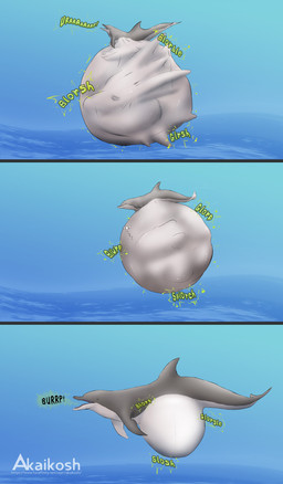abdominal_bulge belly big_belly blue_background burping digestion dolphin_tail dorsal_fin duo eyes_closed feral feral_pred feral_prey fin grey_body huge_belly rumbling_stomach simple_background text underwater vore water white_belly akaikosh mythology aquatic cetacean dolphin dragon mammal mythological_creature mythological_scalie scalie toothed_whale 2022 absurd_res comic hi_res url watermark