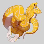 anthro big_breasts big_butt biped blush breasts butt female looking_back multicolored_body nude pupils simple_background smile solo tail tail_aside thick_thighs yellow_body emmyliquid reptile scalie snake 1:1 hi_res