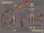 anatomy anatomy_reference anthro areola big_tail bodily_fluids bone breasts cartilage female genitals long_neck non-mammal_breasts nude organs ovaries penetration pussy skeleton small_waist solo standing tail text thick_thighs vaginal vaginal_penetration vike_mike salertani scalie biological_illustration hi_res model_sheet technical_illustration