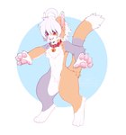 anthro blue_background featureless_crotch fur grey_body grey_fur hair pawpads pink_pawpads red_eyes simple_background solo tail white_background white_body white_fur white_hair yellow_body yellow_fur kanookies arcanis_(hahaluckyme) calico_cat domestic_cat felid feline felis mammal absurd_res hi_res