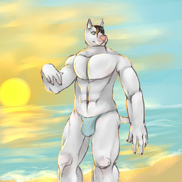 abs anthro beach biceps biped black_hair blue_eyes bulge claws clothed clothing cloud detailed_background fur hair male muscular muscular_anthro muscular_male outside pecs pink_nose pose sand sea seaside short_hair sky solo speedo standing sun swimwear topless underwear water white_body white_fur marshalpizza canid canine canis domestic_dog mammal 1:1 hi_res