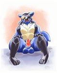 anthro balls blush embarrassed erection eyewear genitals glasses male nude penis presenting sitting solo trpcafterdark nintendo pokemon leo_(leocario) generation_4_pokemon lucario pokemon_(species) hi_res