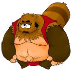 anthro asian_clothing beard belly black_nose brown_body brown_fur clothing east_asian_clothing facial_hair fundoshi fur japanese_clothing male moobs musclegut muscular navel nipples overweight overweight_anthro overweight_male simple_background solo underwear white_background kodanukimanpuku canid canine mammal raccoon_dog tanuki 1:1 2010