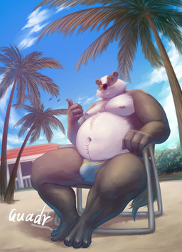 3_toes 4_fingers anthro beach belly big_belly black_body black_fur black_nose bulge chair clothing detailed_background feet fingers fur furniture gesture hand_gesture kemono male moobs navel nipples overweight overweight_male palm_tree plant sitting solo standing swimwear thumbs_up toes tree white_body white_fur guadr beastly_crimes beastly_crimes_(2024) chief_badger badger mammal mustelid musteline 2026 absurd_res hi_res