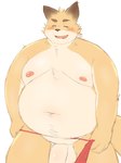 anthro balls belly big_belly blush eyes_closed genitals kemono male moobs navel nipples overweight overweight_male penis simple_background solo ibuki_haruno canid canine fox mammal 2022 absurd_res hi_res