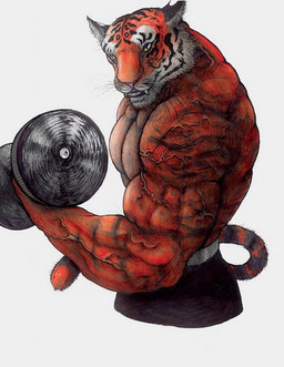 anthro exercise fur looking_at_viewer male muscular orange_body orange_fur solo vein veiny_muscles weightlifting workout yagi_b._(artist) felid mammal pantherine tiger