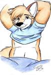 anthro blue_clothing blue_shirt blue_topwear clothed clothing clothing_lift male navel shirt shirt_lift simple_background solo topwear white_background cirruskitfox joe_(cirruskitfox) canid canine fox mammal