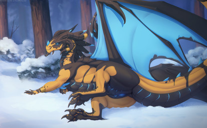 blue_eyes claws curved_horn detailed_background feet female female_feral feral forest genitals hindpaw horn lying membrane_(anatomy) membranous_wings on_side pawpads paws plant snow solo tail tree vulva wings lunalei european_mythology mythology ryrli_(elderberriann) dragon mythological_creature mythological_scalie scalie western_dragon 2019 digital_media_(artwork)
